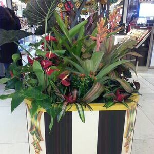 Meet your Posher, Mercedes